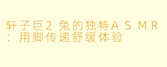 轩子巨2兔的独特ASMR：用脚传递舒缓体验