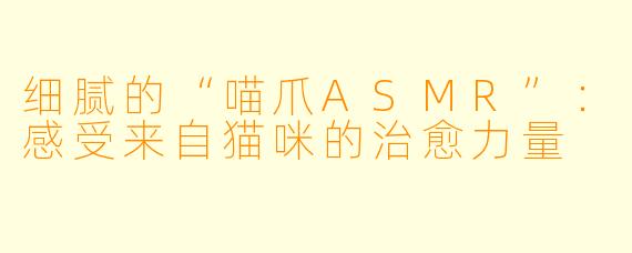细腻的“喵爪ASMR”：感受来自猫咪的治愈力量
