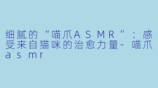 细腻的“喵爪ASMR”:感受来自猫咪的治愈力量