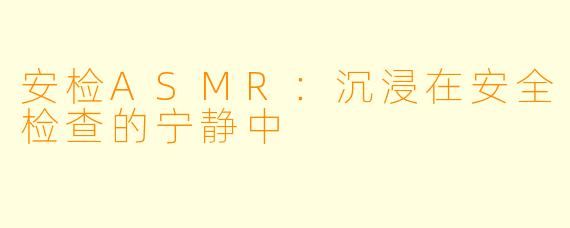 安检ASMR：沉浸在安全检查的宁静中