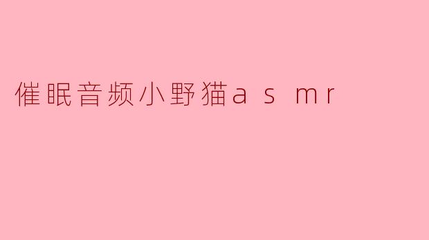 催眠音频小野猫asmr