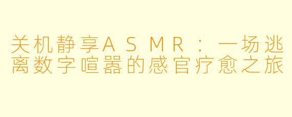 关机静享ASMR:一场逃离数字喧嚣的感官疗愈之旅